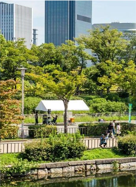 blog