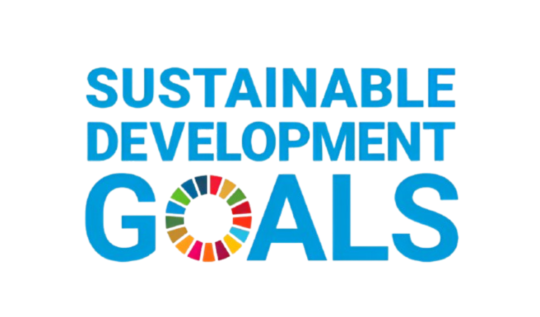 SDG Logo